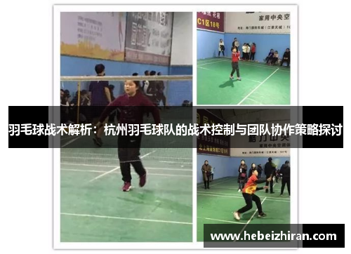 羽毛球战术解析：杭州羽毛球队的战术控制与团队协作策略探讨