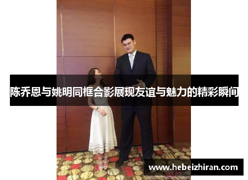 陈乔恩与姚明同框合影展现友谊与魅力的精彩瞬间