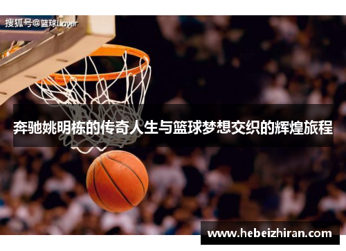 奔驰姚明栋的传奇人生与篮球梦想交织的辉煌旅程